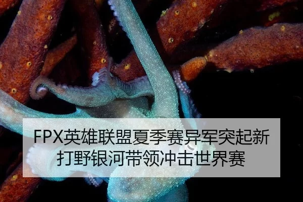 ying-xiong-lian-meng-xia-ji-sai-yi-jun-tu-qi-xin-da-ye-yin-he-dai-ling-chong-ji-shi-jie-sai-3-324.jpg